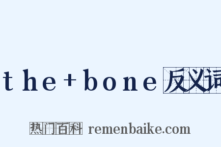 the+bone反义词是什么意思的图片